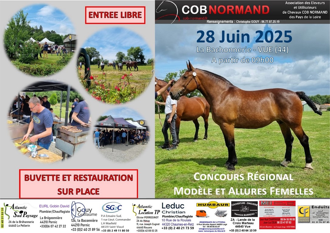 affiche concours VUE 2025