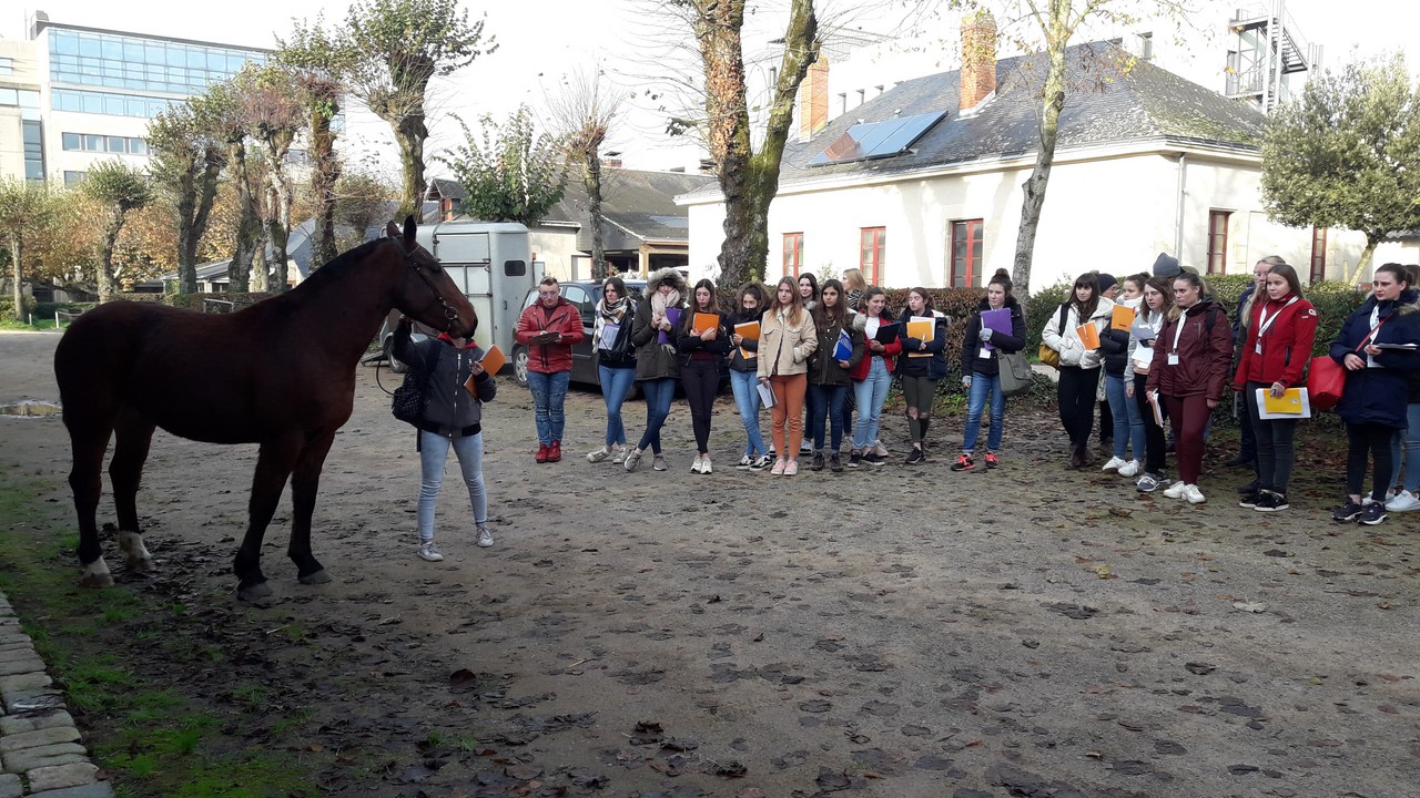 les éleves de Vendée en concours de pointage