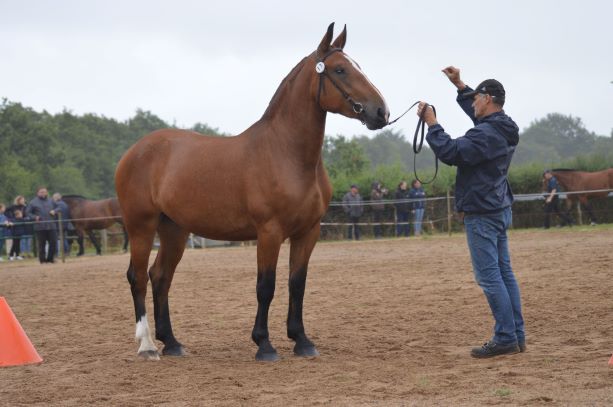 HOTESSE DES PRES 3 ANS