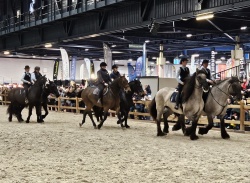 caroussel monté Angers 2024