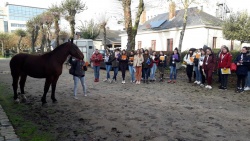 les éleves de Vendée en concours de pointage