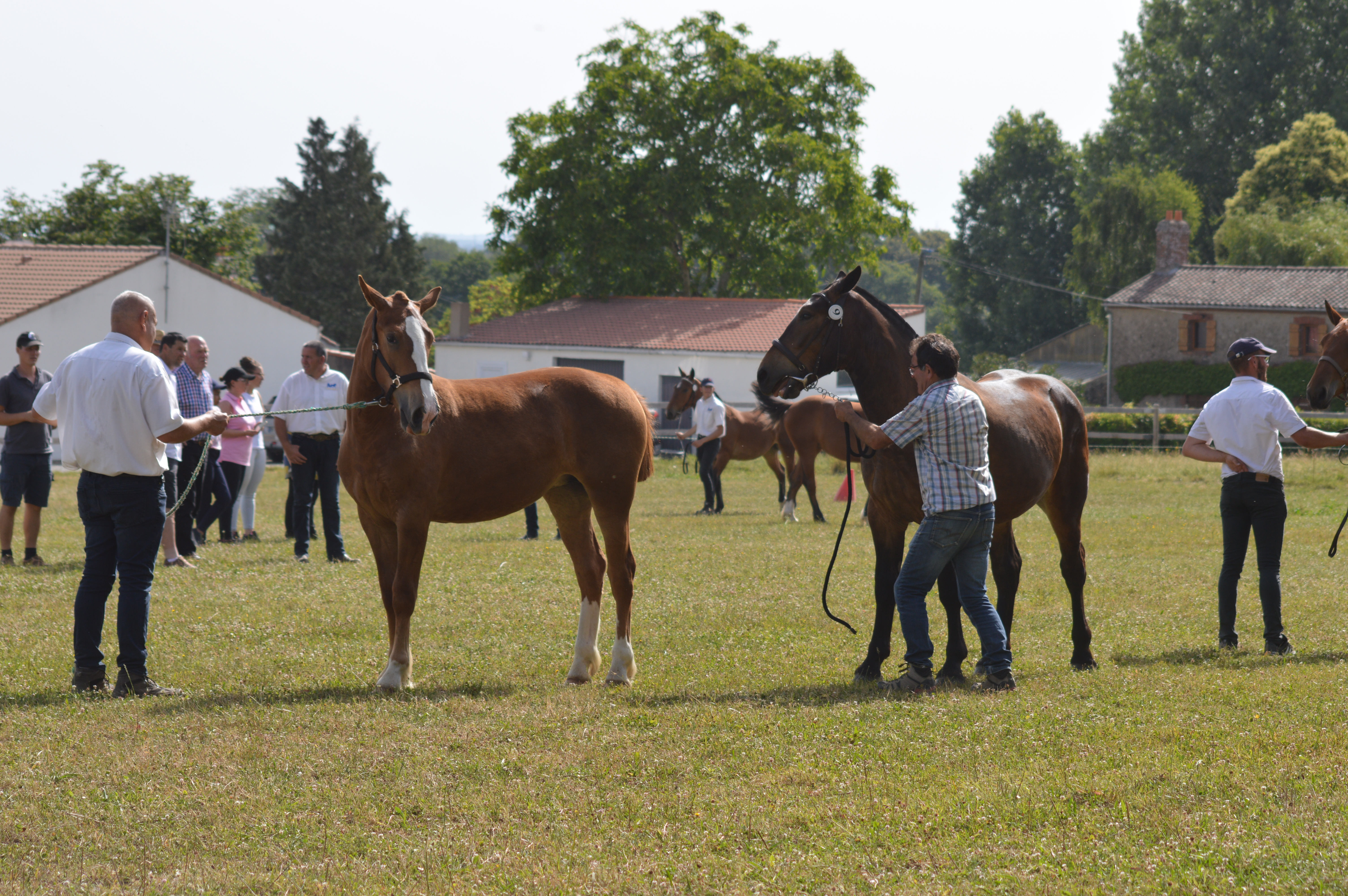 VUE CONCOURS MODELES 1 AN