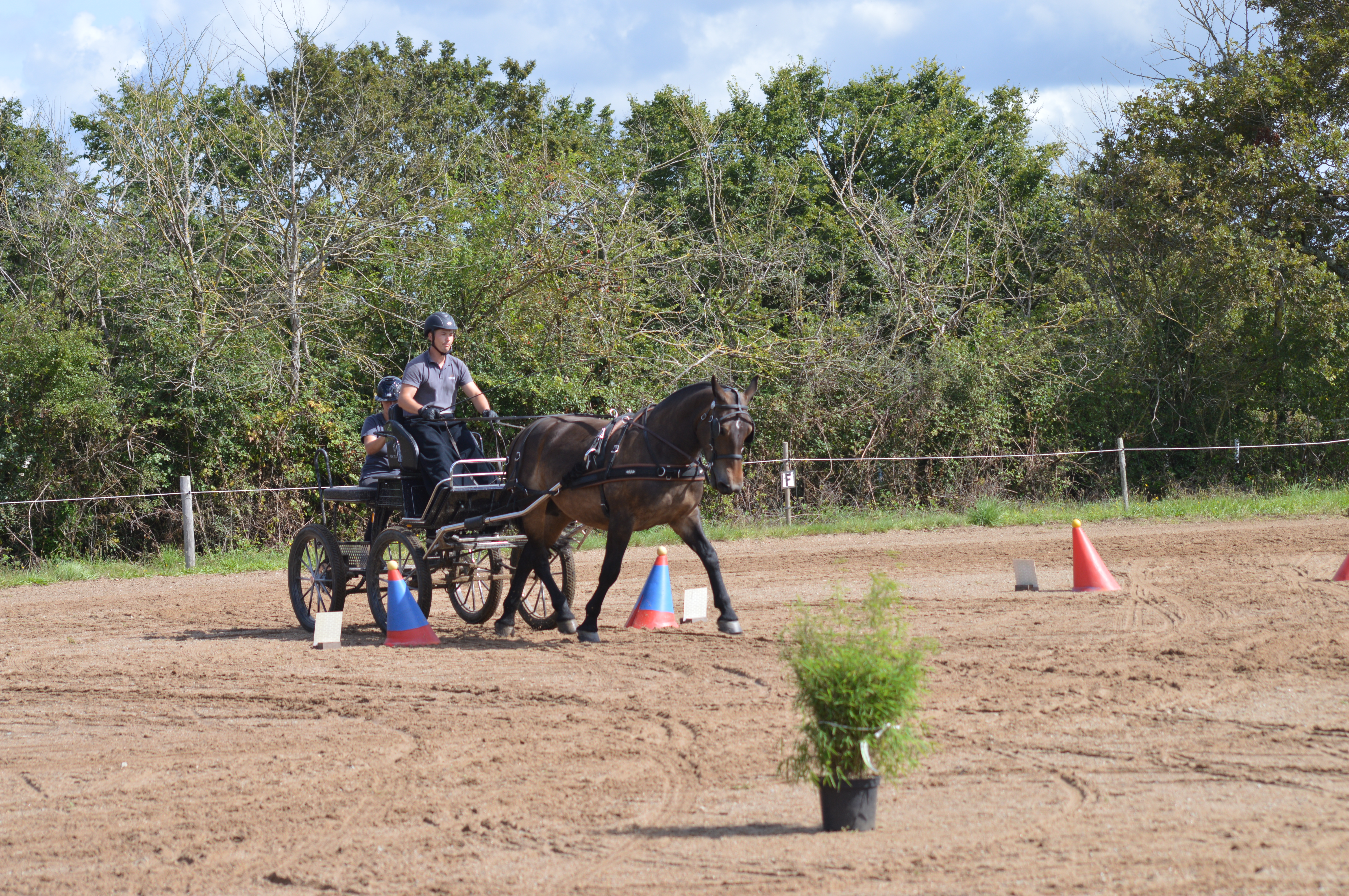 Image de la Pierre Equidés Cup 2023 St HIlaire de CHaléons