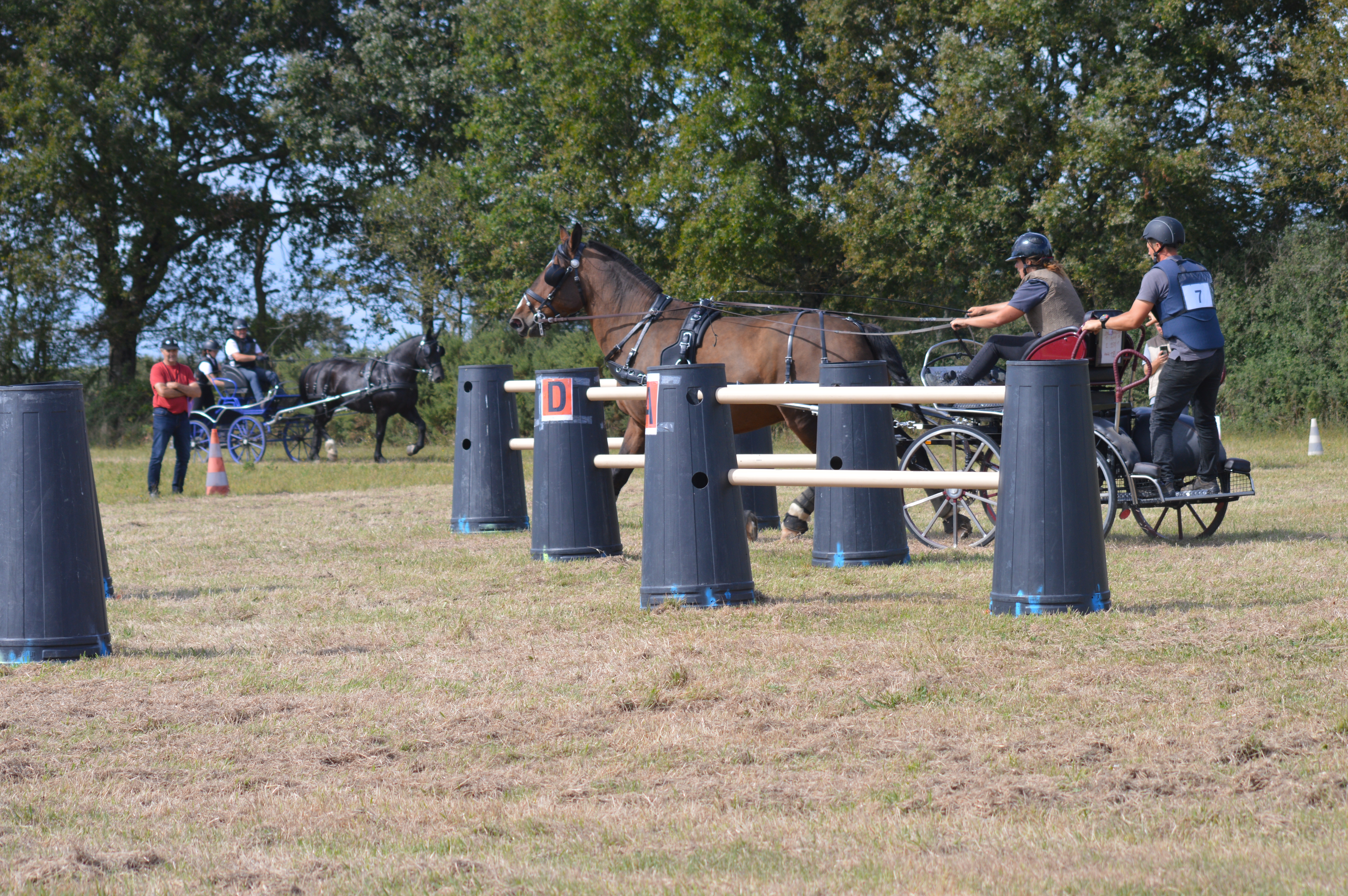 Equipage Camille, Diem et groom Dylan sous l'oeil attentif du chef de piste Thierry