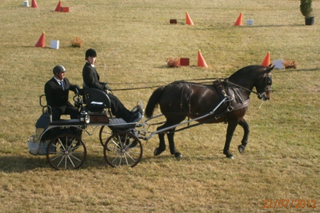 Concours de Luçon 2012, radieuse des Roches