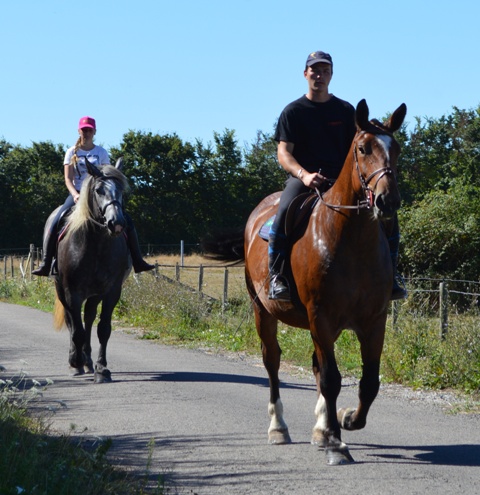 DARLING DES ROCHES ATTELEE ET MONTEE