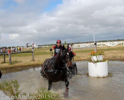 Radieuse 2015 Amateur Lucon