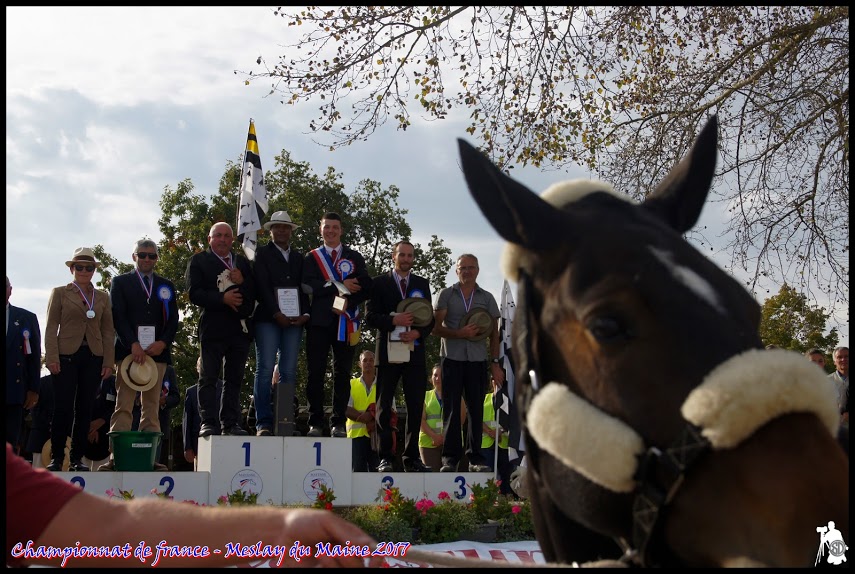 CH. DE FR. AMATEUR TRAIT 2017 PODIUM