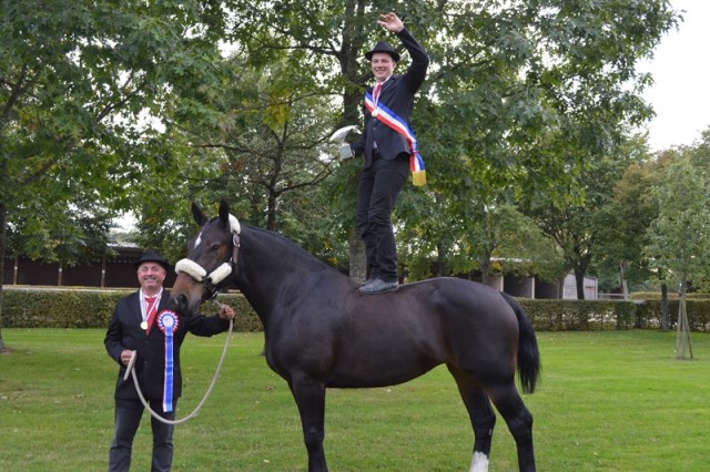 Dylan BOUHIER et Audacieuse des Roches Champion de Fr. Attelage 2017