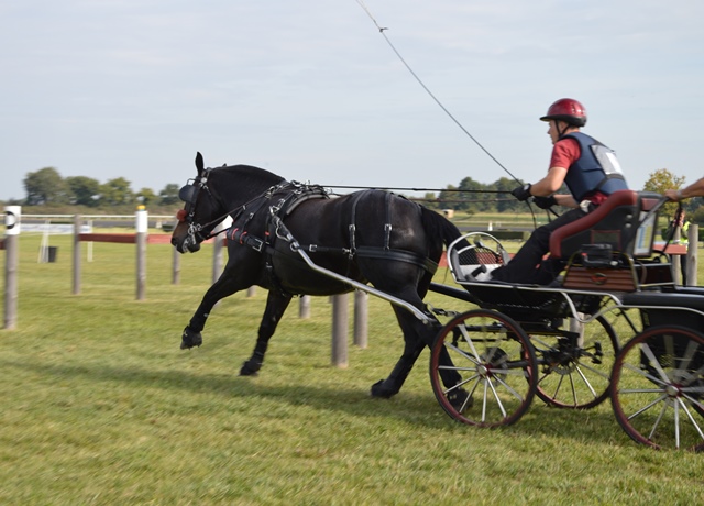 MARATHON 2017 Meslay du MAINE CHEVAL audacieuse