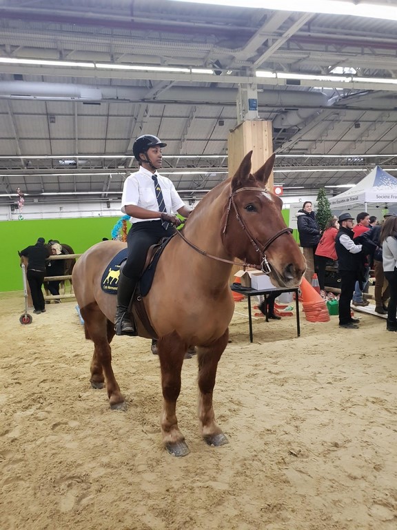 Eclypse du Dora SIA 2019