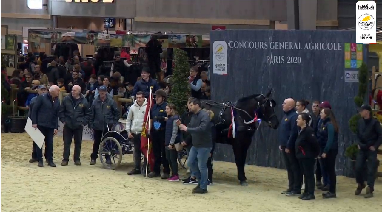 L'équipe des Pays de Loire gagnante du trophée d'utilité jeunes chevaux 2020