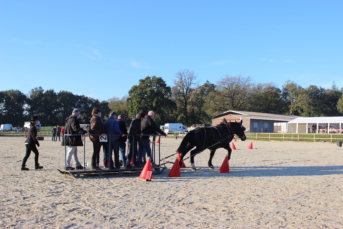 traction Equidé cup Ste Foy 2020