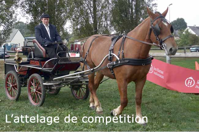 Attelage de compétition