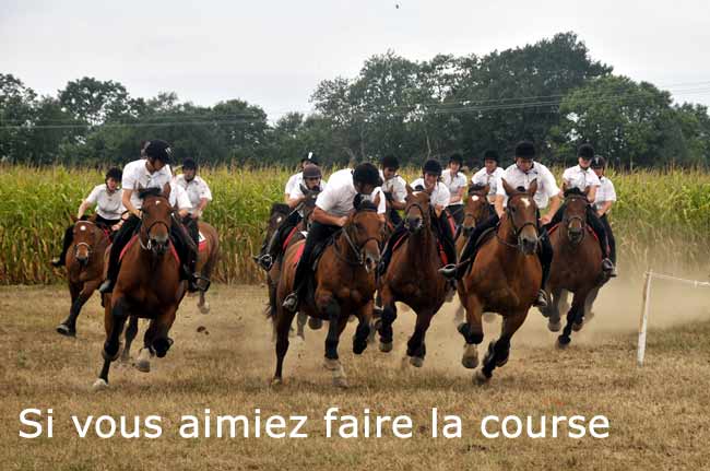 Courses de cobs normands