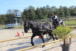 maniabilité attelée Equidé cup Ste Foy 2020