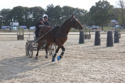 marathon Equidé cup Ste Foy 2020