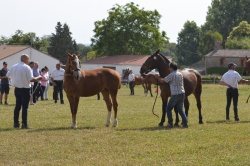 VUE CONCOURS MODELES 1 AN