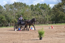 Image de la Pierre Equidés Cup 2023 St HIlaire de CHaléons