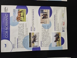 AFFICHE RACE COB NORMAND PAYS DE LOIRE ANGERS 2024