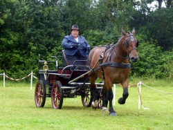 Nathalie Morice en reprise de dressage