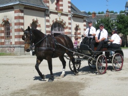 Audacieuse des Roches, Défilé NHS 2012