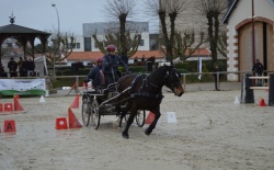 Audacieuse des Roches à  Vendée\