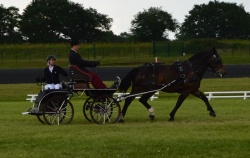 dressage epreuve amateur Audacieuse 2016