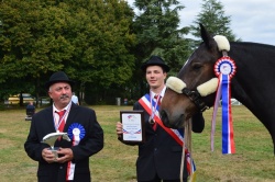 DYLAN CHAMPION DE FR. AMATEUR TRAIT SOLO 2016