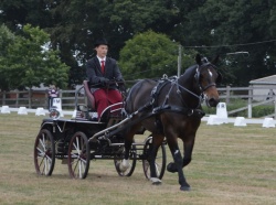 Dressage Championnat de France amateur solo trait 2016
