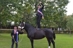 Dylan BOUHIER et Audacieuse des Roches Champion de Fr. Attelage 2017