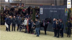 L'équipe des Pays de Loire gagnante du trophée d'utilité jeunes chevaux 2020